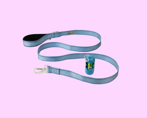 Dog Leash